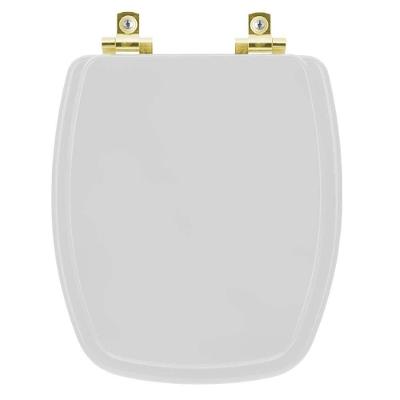 Assento Sanitário Stylus Alongado Polipropileno Fechamento Suave Cinza Prata com Ferragem Dourada