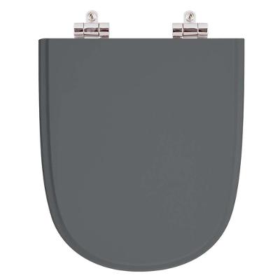 Assento Sanitário Ezedra Alongado Resina Plástica Soft Close Cinza Pontto Lavabo