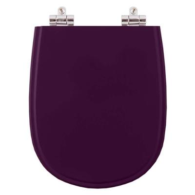 Assento Sanitário Paris Ametista Alongado Resina Plástica Parafusado Fechamento Suave Roxo Pontto