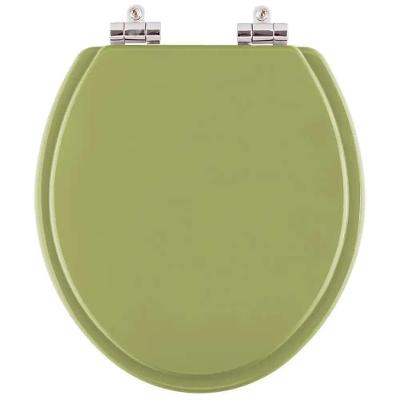 Assento Sanitário Azalea Alongado Resina Plástica Fechamento Suave Verde Pontto Lavabo
