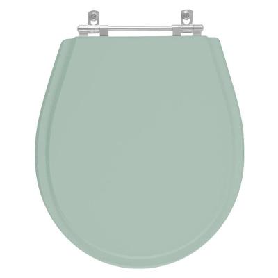 Assento Sanitário Avalon Alongado Resina Plástica Parafusado Convencional Verde Claro
