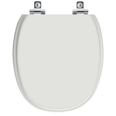 Assento Sanitário Ascot Silver Alongado Polipropileno Parafusado Fechamento Suave Cinza Pontto