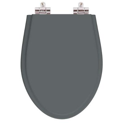 Assento Sanitário Absolute Alongado Resina Plástica Fechamento Suave Cinza Quartzo Pontto Lavabo