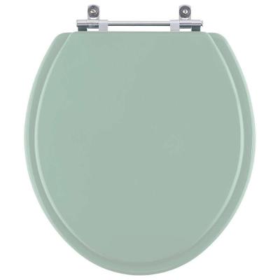 Assento Sanitário Azaléa Alongado Resina Plástica Parafusado Convencional Verde