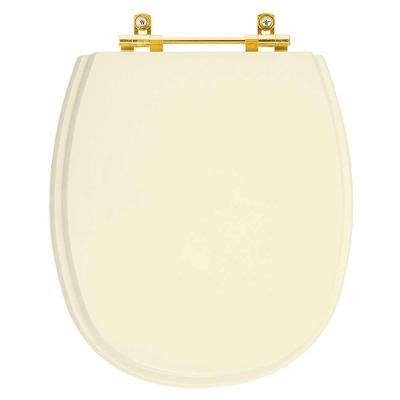 Assento Sanitário Aspen Alongado Resina Plástica Convencional Alumínio Dourado Bege Pontto