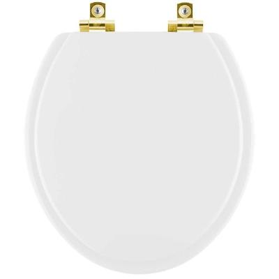 Assento Sanitário Aretusa Alongado Plástico Fechamento Suave Dourado Branco Pontto Lavabo