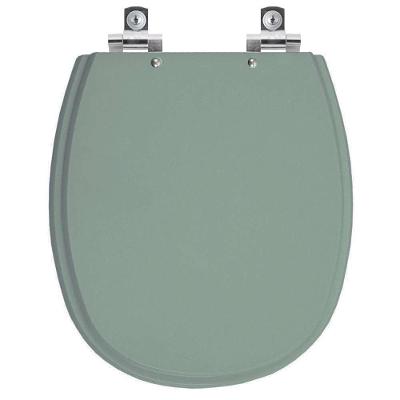 Assento Sanitário Aspen Alongado Polipropileno Fechamento Suave Verde Malva Pontto Lavabo
