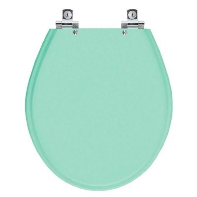 Assento Sanitário Carina Alongado Polipropileno Fechamento Suave Verde Claro Pontto Lavabo