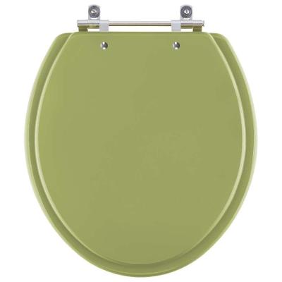 Assento Sanitário Azalea Alongado Resina Plástica Parafusado Convencional Verde Pontto Lavabo