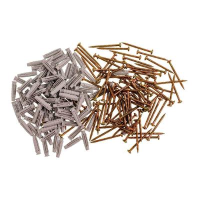 Parafuso com Bucha Cabeça de Panela 06mm Prático e Seguro Inox Bemfixa 100