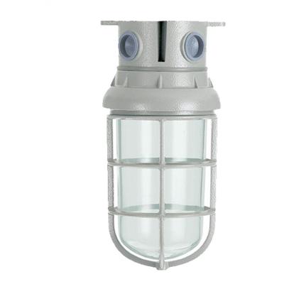 Luminária Blindada Plafonier Ovóide WYN 25-2 com IP65 E-27 Bivolt Wetzel E003110370
