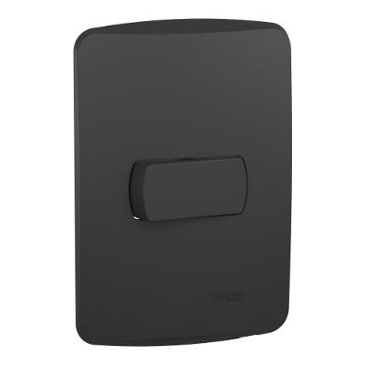 Conjunto Placa 2x4 Horizontal com Interruptor Simples S3B62011 10A 250V Grafite Schneider