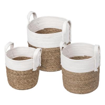 Conjunto 03 Cestos Samui Fibra Natural Branco