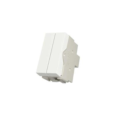 Módulo Interruptor Duplo Simples Infiniti Plus Colors Acabamento Fosco 10A Branco Margirius