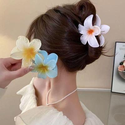 Acessório de Cabelo Kit Grampos Piranha Design Floral para Praia Cores Sortidas OEM Até 12 Unidades
