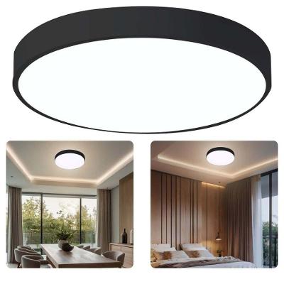 Luminária de Sobrepor L10060 3 Tons LED Integrado Preto Mundo LGBT 50CM