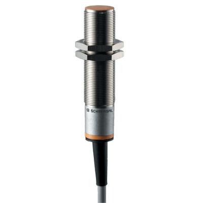 Sensor Indutivo Ace Schmersal IFL 5-18-10 5MM 15-250VCA-CC Bivolt Prata