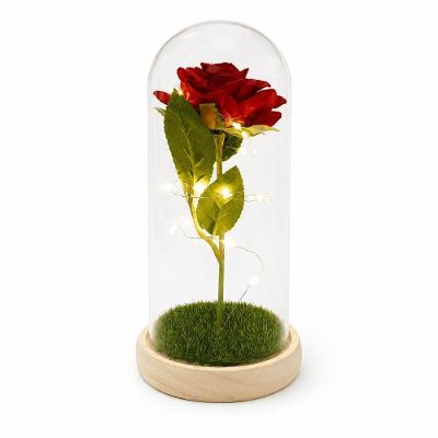Decoração Rosa Encantada com LED Cúpula Transparente Vermelho Negócio de Gênio