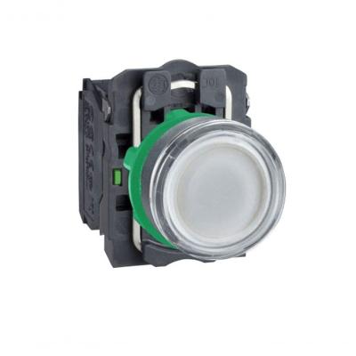 Botão Schneider Electric XB5AW31M5 220-240VAC 1NA1NF Luminoso com LED 220V Branco