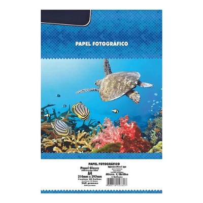 Papel Fotográfico Microporo C Brilho 260G-M2 A4 Pacote 20 Folhas Secagem Rápida
