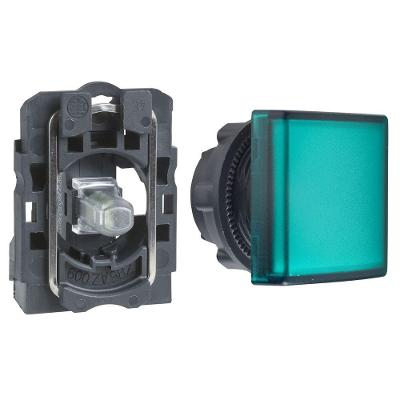 Botão Schneider Electric XB5AW3361 22mm Alimentação Direta 1NA Bivolt Transparente