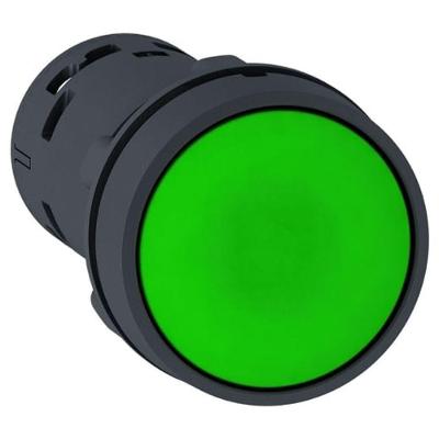 Botão Monobloco Schneider Electric XB7NH31 22mm 1NA com Retenção Bivolt Verde
