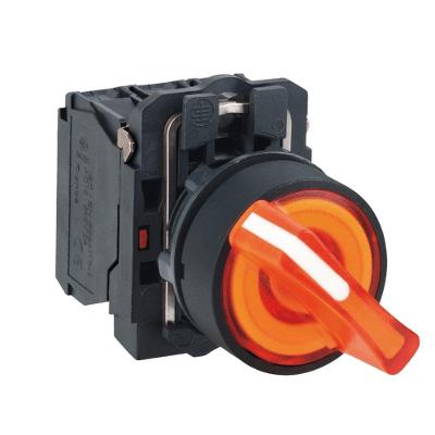Botão Luminoso Schneider Electric XB5AK125G3 Comutador 22mm 110V LED Transparente