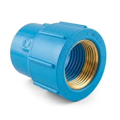 Luva Plastubos 25 X 3-4 com Bolsa Soldável e Rosca em Latão Azul