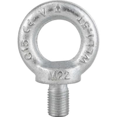 Parafuso Olhal Vonder Plus para Ancoragem e Fixação Galvanizado Inox 22MM 1,50TF DIN 580