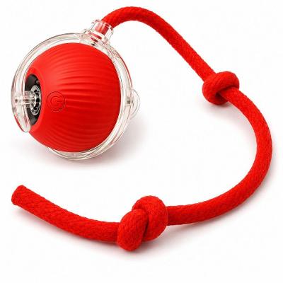 Brinquedo Interativo Automático Outras Marcas para Cães e Gatos de Pequeno e Médio Porte Vermelho