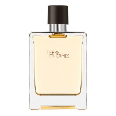 Perfume Terre D'Hermès Masculino Eau de Toilette 100ML Hermès Paris