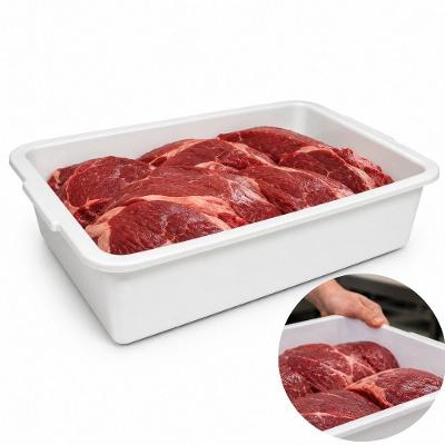 Bandeja Carne Acougue Multiuso Caixa Frigorifica Plástico Reforçada Freezer Cozinha Alimentos 9L