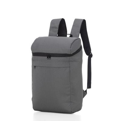Mochila Térmica Easy Trip Poliester 16L Cinza com Alca de Mao e Ombro