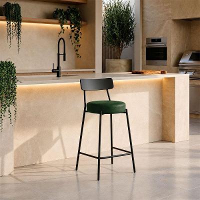 Banqueta Industrial D03 Assento PU Base Fixa com Encosto Fixo Verde D'Rossi