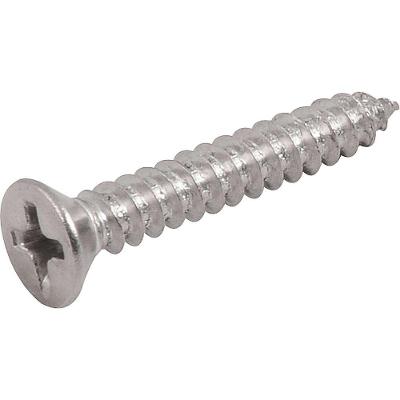 Parafuso Autoatarraxante Inox 3,9mm X 25,0mm Cabeça Chata Phillips Vonder