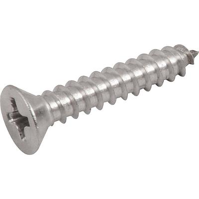 Parafuso Autoatarraxante Inox 3,5mm X 19,0mm Cabeça Chata Phillips Alta Resistência à Corrosão