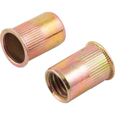Rebite de Rosca M12 X 24,0mm Cabeça Pequena Aço Carbono Pacote com 10 Vonder