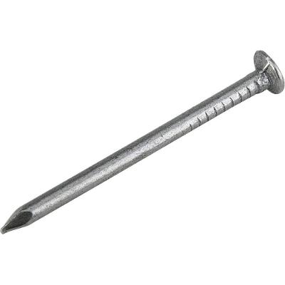 Prego com Cabeça 11 X 11 1 X 16 Polido Fixação Segura Fácil Manuseio Vonder 1KG