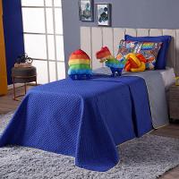 Cobre Leito Pop It Azul Dupla Face Almofadas Solteiro 6 Peça - 19