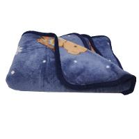 Manta Cobertor Infantil Mantinha Toque Macio Aveludado Urso - 2