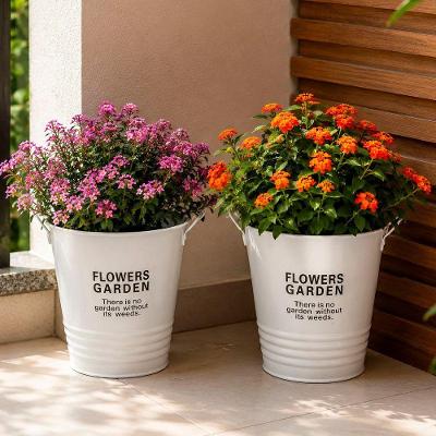 Vaso Balde Decorativo Cilíndrico Alumínio Jardim Planta Arranjo Branco Kit 2pçs