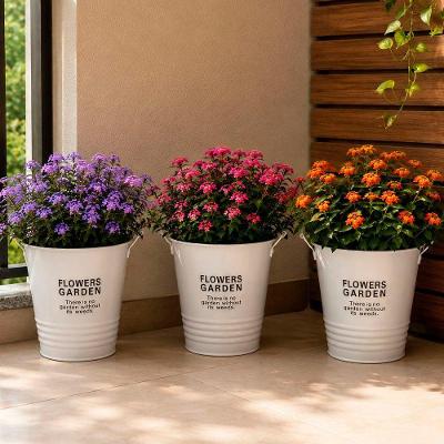 Vaso Decorativo Balde Cilíndrico Alumínio Brilhante Branco Kit 3 Vasos