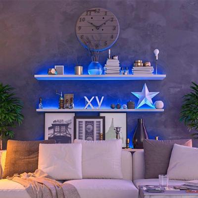 Fita LED Neon Flex 8W 5 Metros 12V 120 Leds por Metro IP65 Azul Taschibra