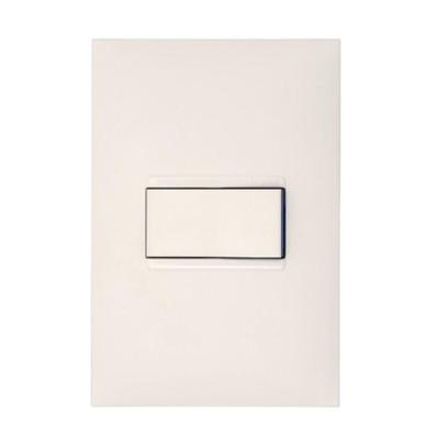 Interruptor Simples 1 Tecla 10A com Placa 4x2 Branco Pial Plus+