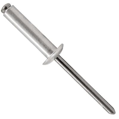 Rebite de Repuxo Alumínio 4,8x12mm 100 Peças Worker Pop Fixação