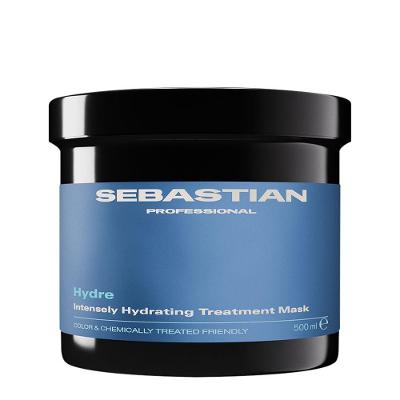 Máscara Capilar Sebastian Professional Hydre 500ML