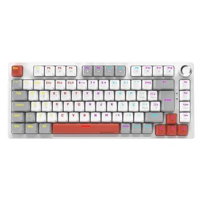 Teclado Mecanico 75% PCYES Arkeum White Ghost Switch Blue