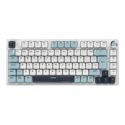 Teclado Mecanico 75% Arkeum Summit Edition Switch Blue RGB Branco Pcyes AKSM75BBR