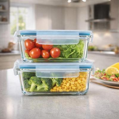 Kit 6 Potes de Vidro Hermético 640ml Borossilicato 4 Travas Marmita Fit para Freezer Micro-ondas