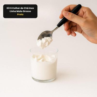 Kit 6 Colher de Chá Linha Mato Grosso Inox Polipropileno Preta Praticasa